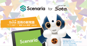 Scenaria for Sota
